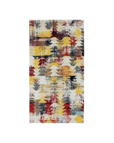 Tapis intérieur-extérieur géo multi 80x150