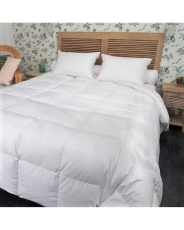 Couette naturelle tempérée duvet doie et coton bio king size 280x240