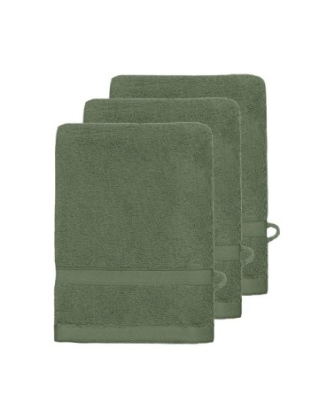 Lot de 3 gants de toilette 600 gr/m²  eucalyptus 16x22 cm