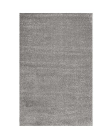 Tapis uni intemporel gris pour salon, chambre 225x160