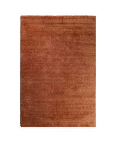 Tapis tufté poils longs terracota chiné pour salon, chambre 190x130