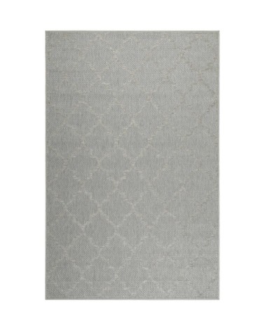 Tapis extérieur gris motif oriental beige pour entrée, jardin 225x160