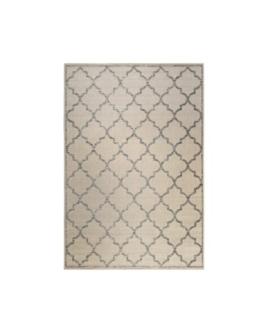 Tapis exterieur beige motif oriental gris 225x160