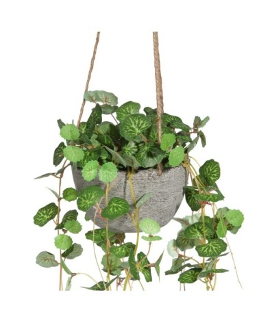 Plante artificielle suspendue