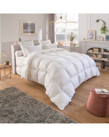 Couette Annapurna 70% Duvet - TEMPEREE 200x200 cm - Drouault