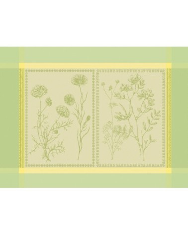 Set antitache déperlant pur coton vert 54X39