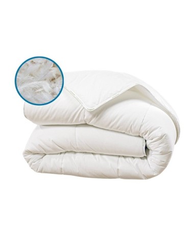 Couette  240x260  Duvet & Plumes