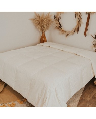 Couette  240x260  Duvet & Plumes