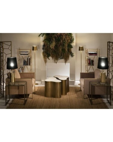 Table dappoint forme organique dorée l65 l45cm