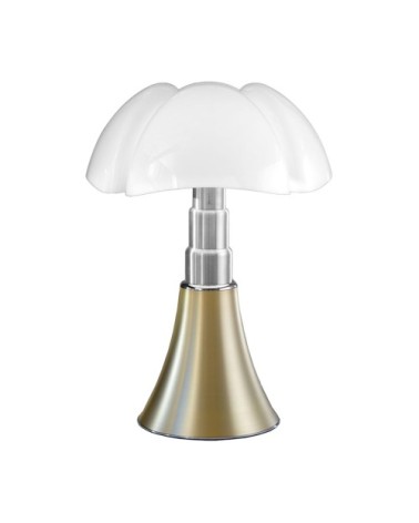 Lampe ampoules LED pied télescopique H66-86cm