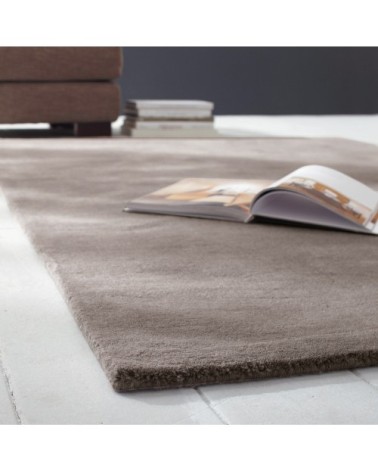Tapis à poils courts en laine taupe clair 250 x 350 cm SOFT