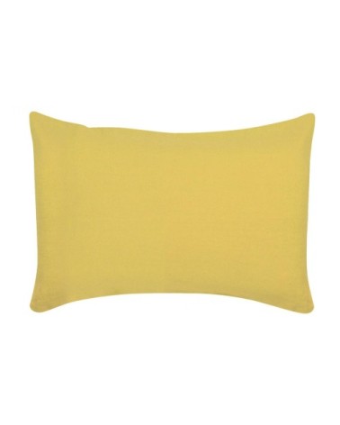 Coussin uni  en lin absynthe 40 x 65