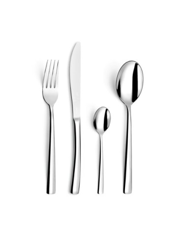 Ménagère 49 pièces