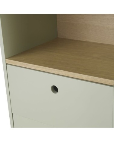 Cabinet de rangement 1 porte 1 niche 2 tiroirs vert