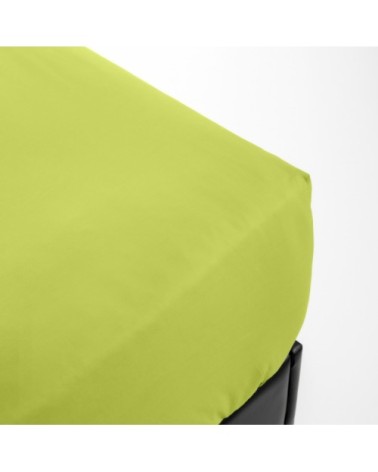 Drap housse en Percale Anis 120x190 cm cm