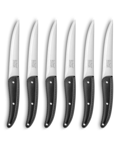 Coffret 6 couteaux lame lisse