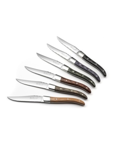 Coffret 6 couteaux steak