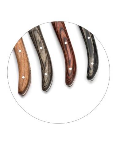 Coffret 6 couteaux steak