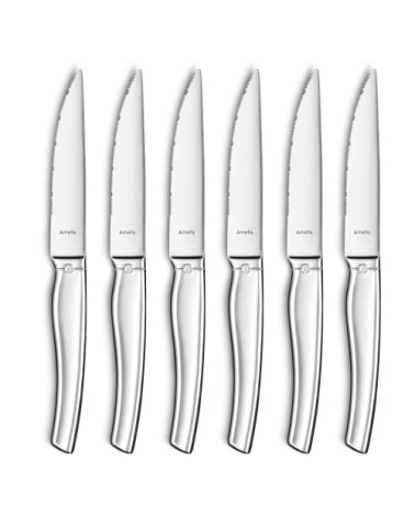 Coffret magnet 6 couteaux steak