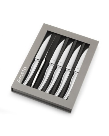 Coffret magnet 6 couteaux steak