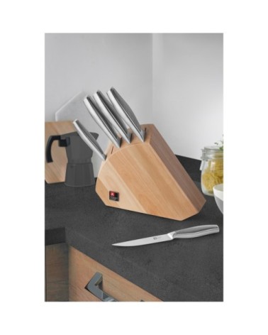 Bloc 5 couteaux de cuisine