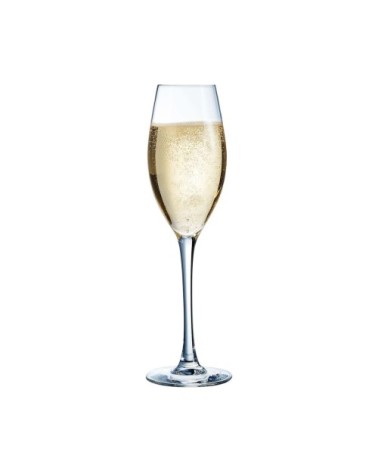 Flûte à Champagne 24cl - Lot de 6