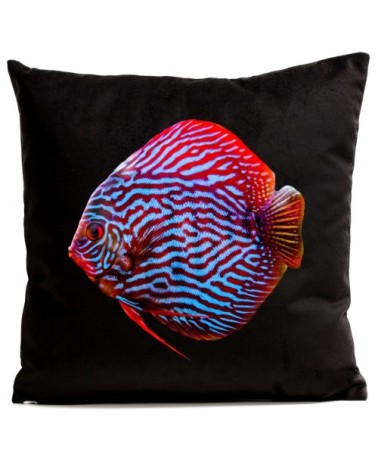 Coussin Poisson Mister Red Velours 60x60cm
