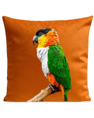 Coussin Perroquet Coco Velours 60x60cm
