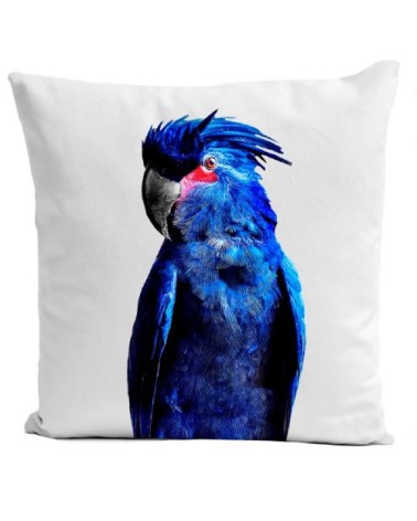 Coussin Perroquet Punky Parrot Velours 40x40cm
