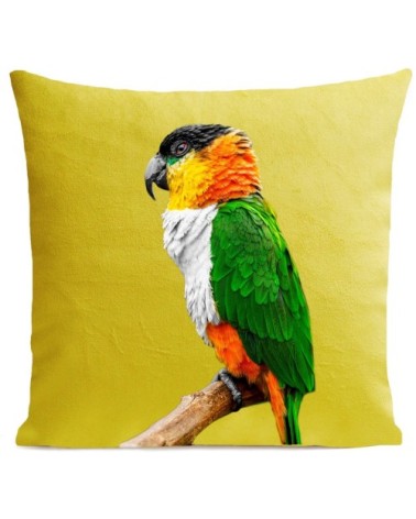 Coussin Perroquet Coco Velours 60x60cm