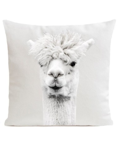 Coussin Lama Serge Velours 60x60cm