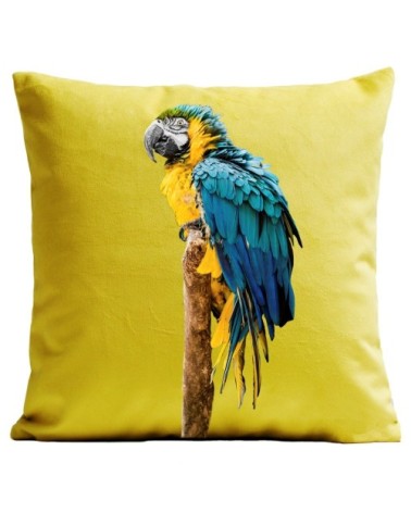 Coussin Perroquet Blue Parrot Velours 40x40cm