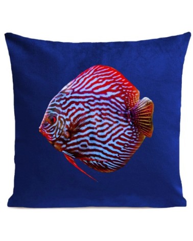 Coussin velours carré imprimé poissons bleu klein 60x60