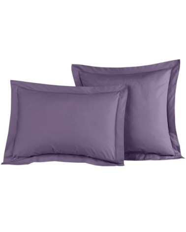 Lot de 2 taies d'oreiller en percale de coton pourpre 65x65 cm