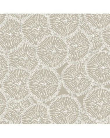 Papier peint silex imprimé fruit