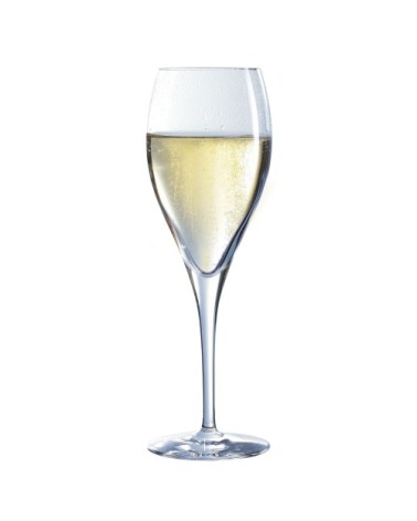 Flûte à Champagne 26cl - Lot de 6