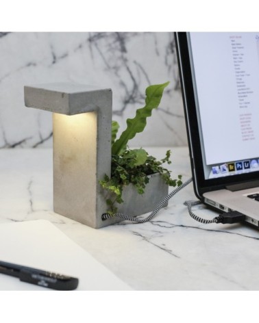 Lampe et pot à fleur de bureau en béton