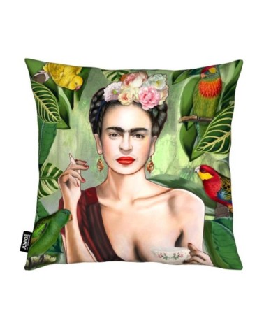 Coussin en microfibre en rouge & vert 30x30