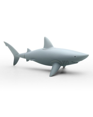 Magnets requin