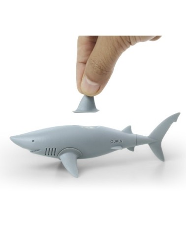 Magnets requin