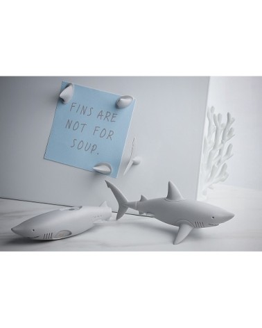 Magnets requin