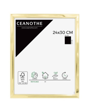 Cadre photo doré résine plastique 24x30