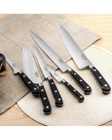 Set 5 couteaux de cuisine