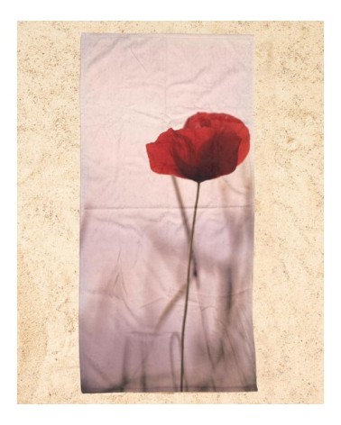 Serviette de plage en éponge-velours en noir & rose 90x180