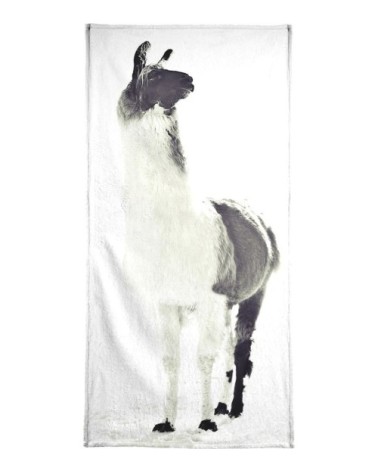 Serviette de plage en éponge-velours en blanc & gris 90x180