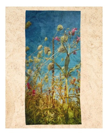 Serviette de plage en éponge-velours en bleu & vert 90x180