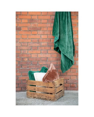 Coussin  en polyester épicéa 50 x 50