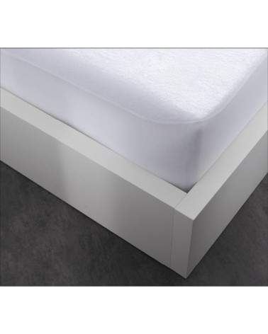 Drap Housse  coton Blanc