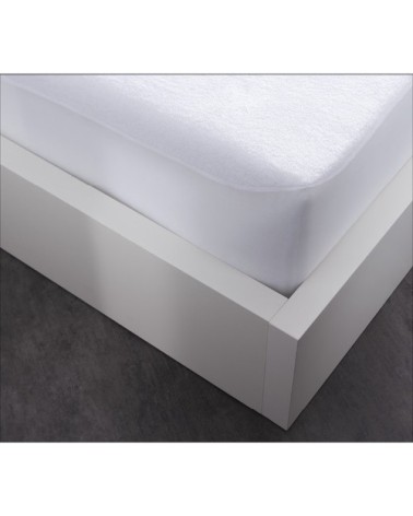 Drap Housse  coton Blanc