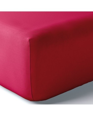 Drap housse coton 180x200 cm framboise